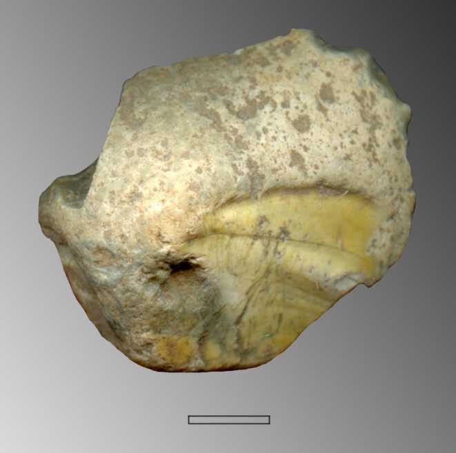 raschiatoio denticolato, carenoide (Paleolitico superiore)