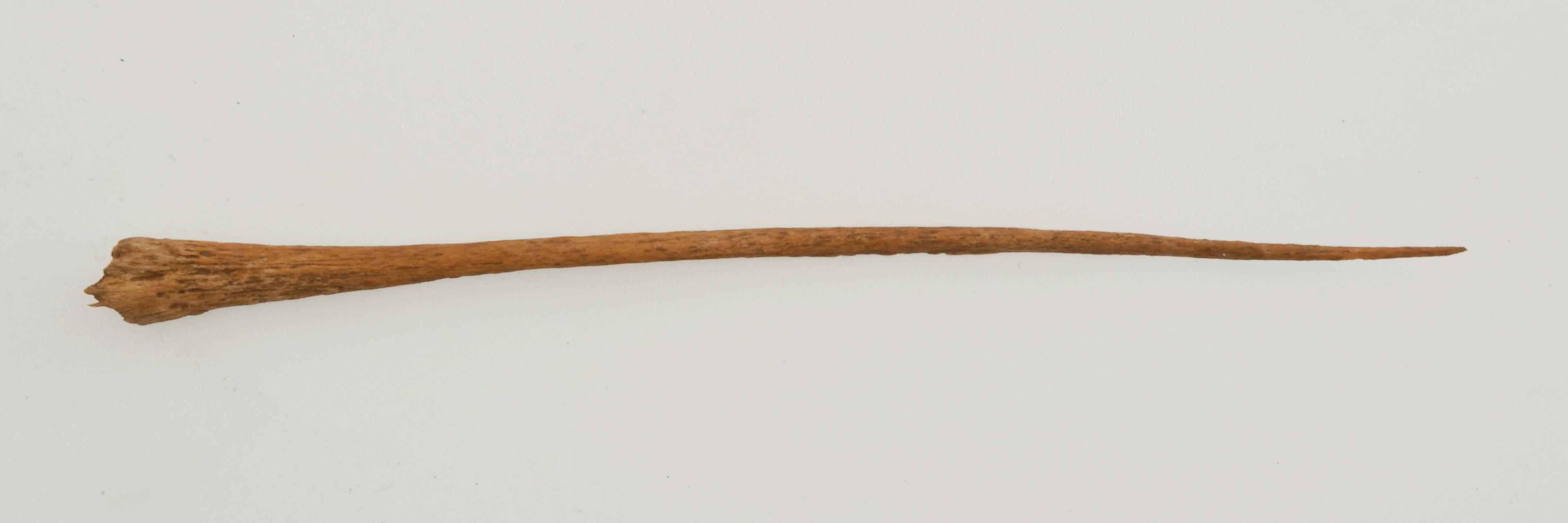 spillone - koinè avara (seconda metà sec. VII d.C)