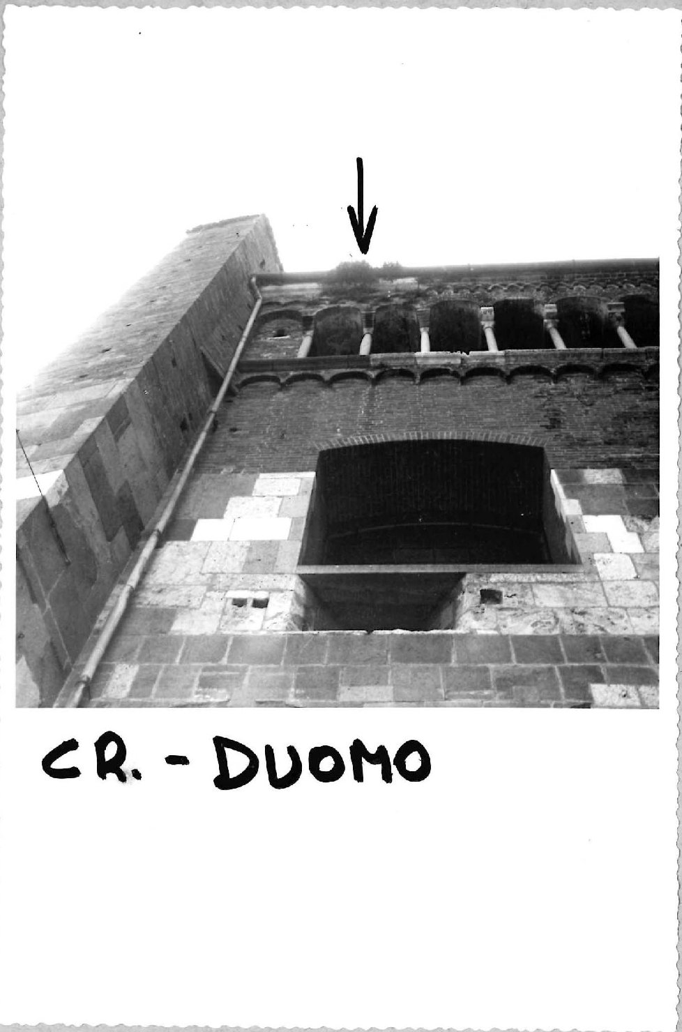 Architettura – Chiese – Cremona (positivo) di Anonimo (terzo quarto XX)