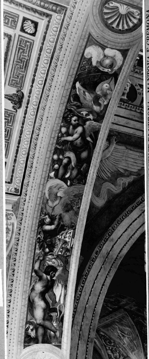 Architettura - Chiese - Cremona - Chiesa di San Sigismondo (positivo) di Negri, Giovanni (studio) (XX)