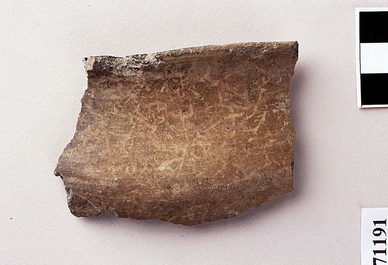 ciotola a carena arrotondata - età del Bronzo recente/subappenninico (sec. XIV a.C)