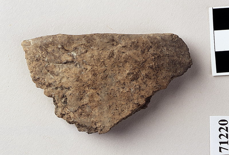 orlo di scodella troncoconica - età del Bronzo recente/subappenninico (eneolitico)