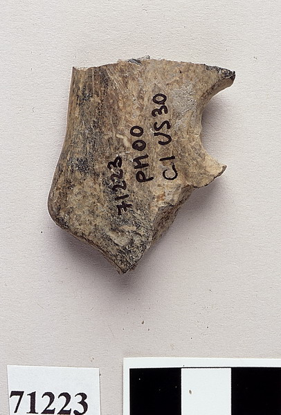 ansa - età del Bronzo recente/subappenninico (sec. XIV a.C)