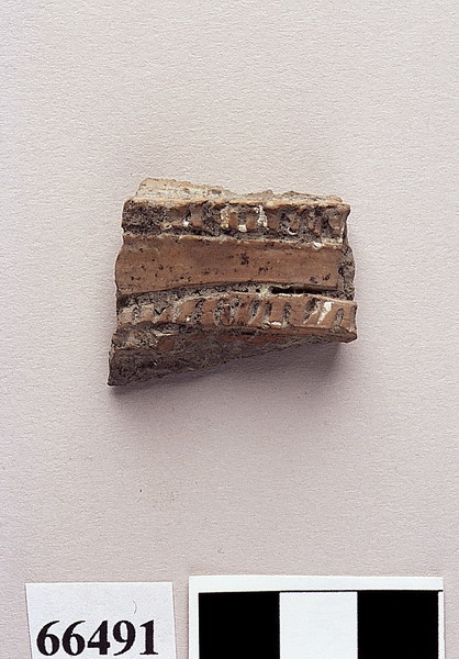 parete concava - età del Bronzo medio 3/appenninico (sec. XIV a.C)