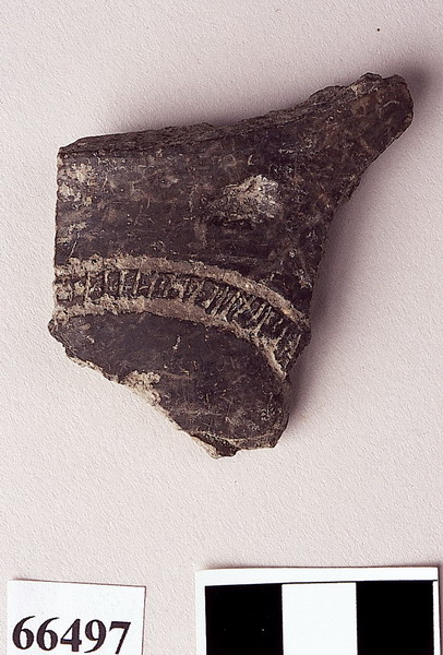 parete sinuosa - età del Bronzo medio 3/appenninico (sec. XIV a.C)