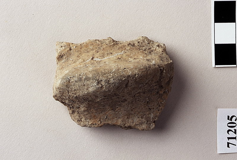 presa semicircolare - eneolitico/bronzo antico (eneolitico/bronzo antico)