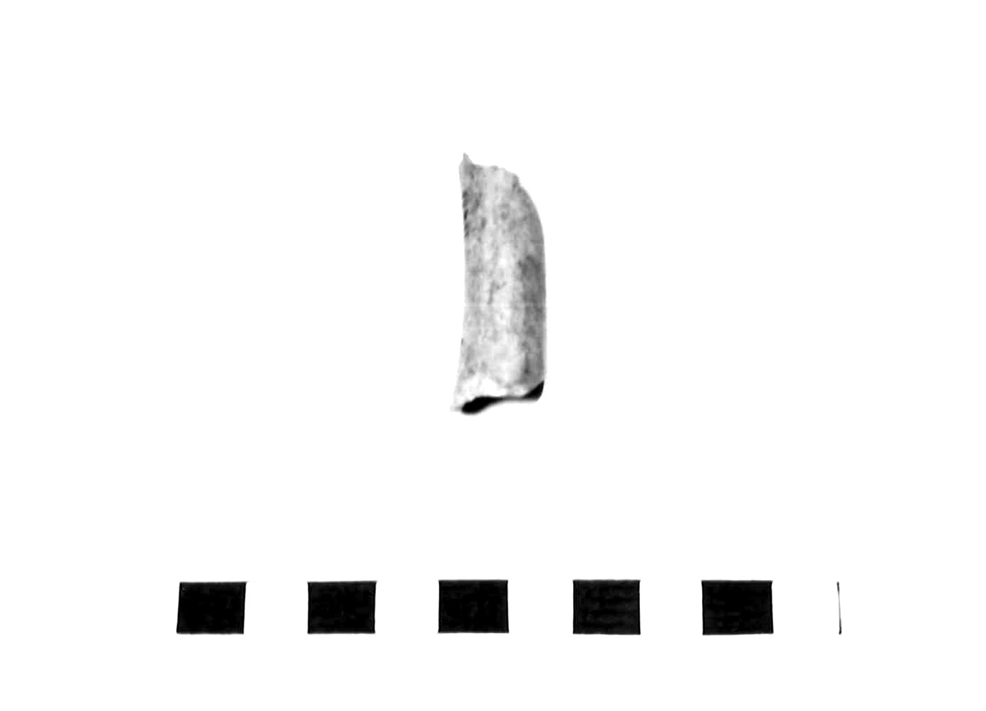 sgorbia - subappenninico (età del bronzo recente)
