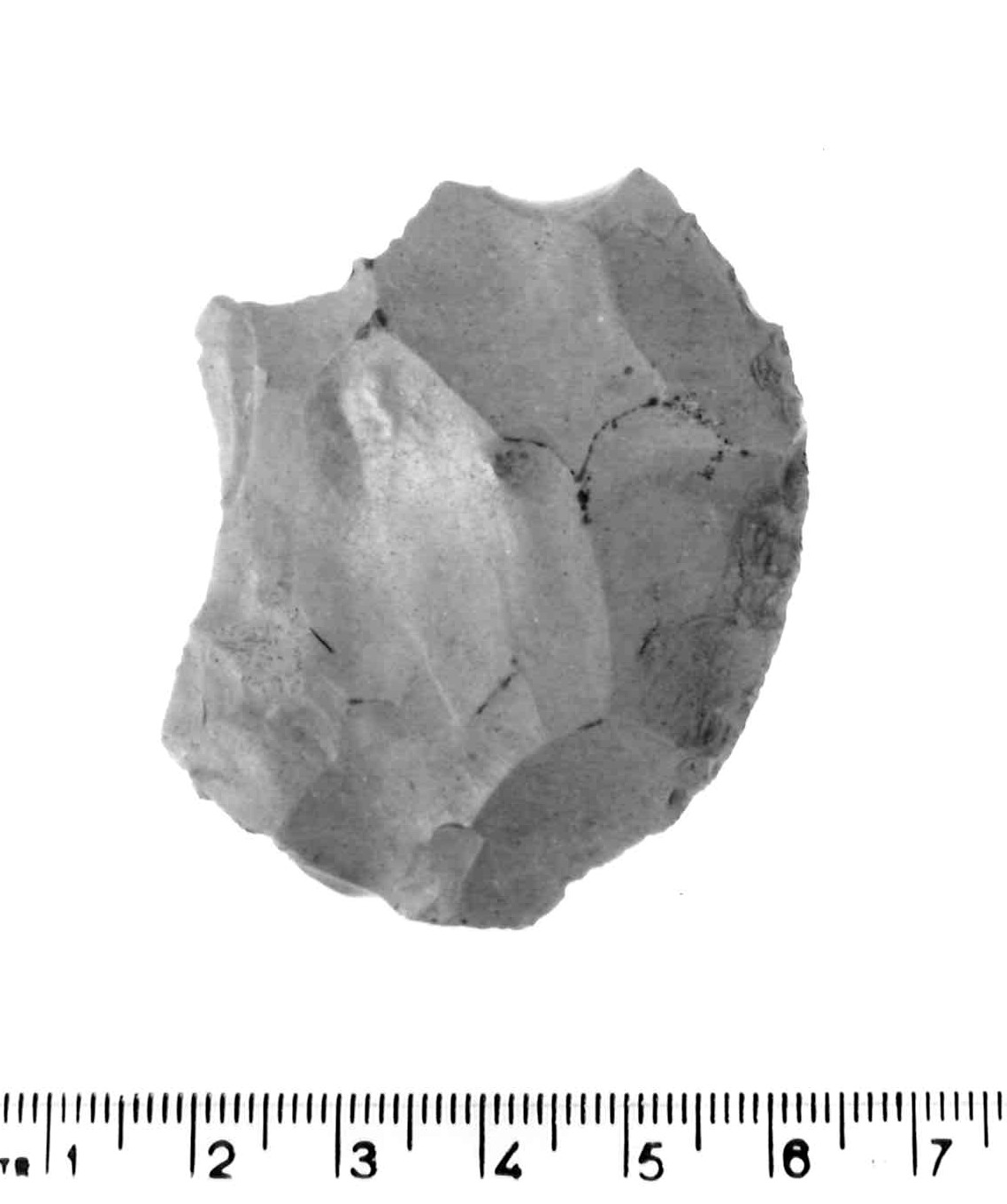 raschiatoio marginale - musteriano (paleolitico medio)
