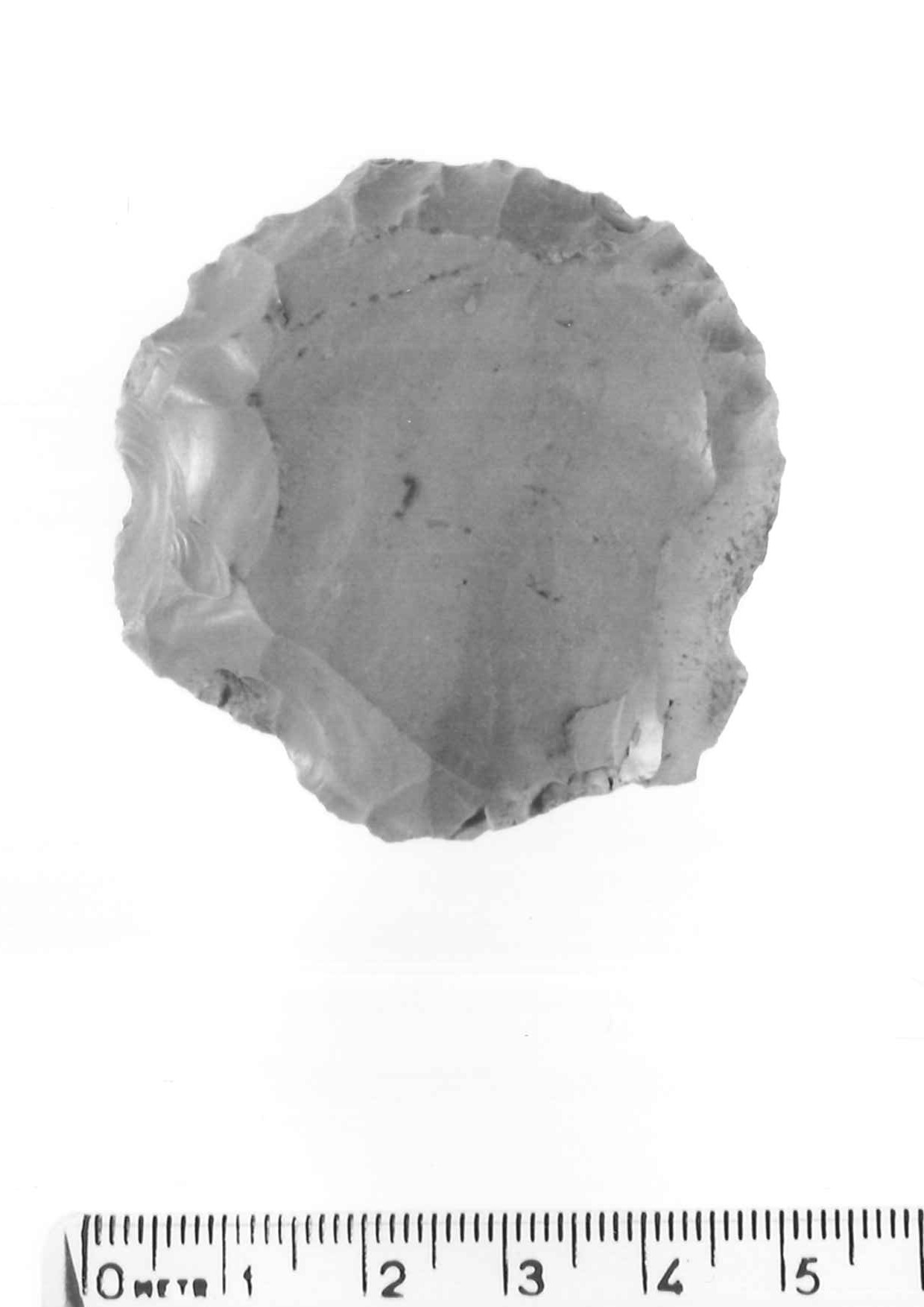 nucleo discoidale - musteriano (paleolitico medio)