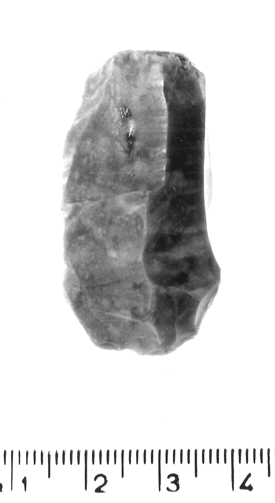 nucleo a lame - epigravettiano antico (paleolitico superiore)