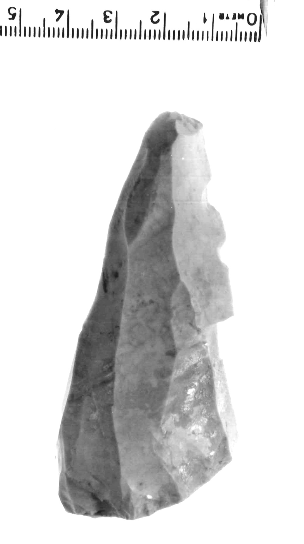 lama - epigravettiano antico (paleolitico superiore)