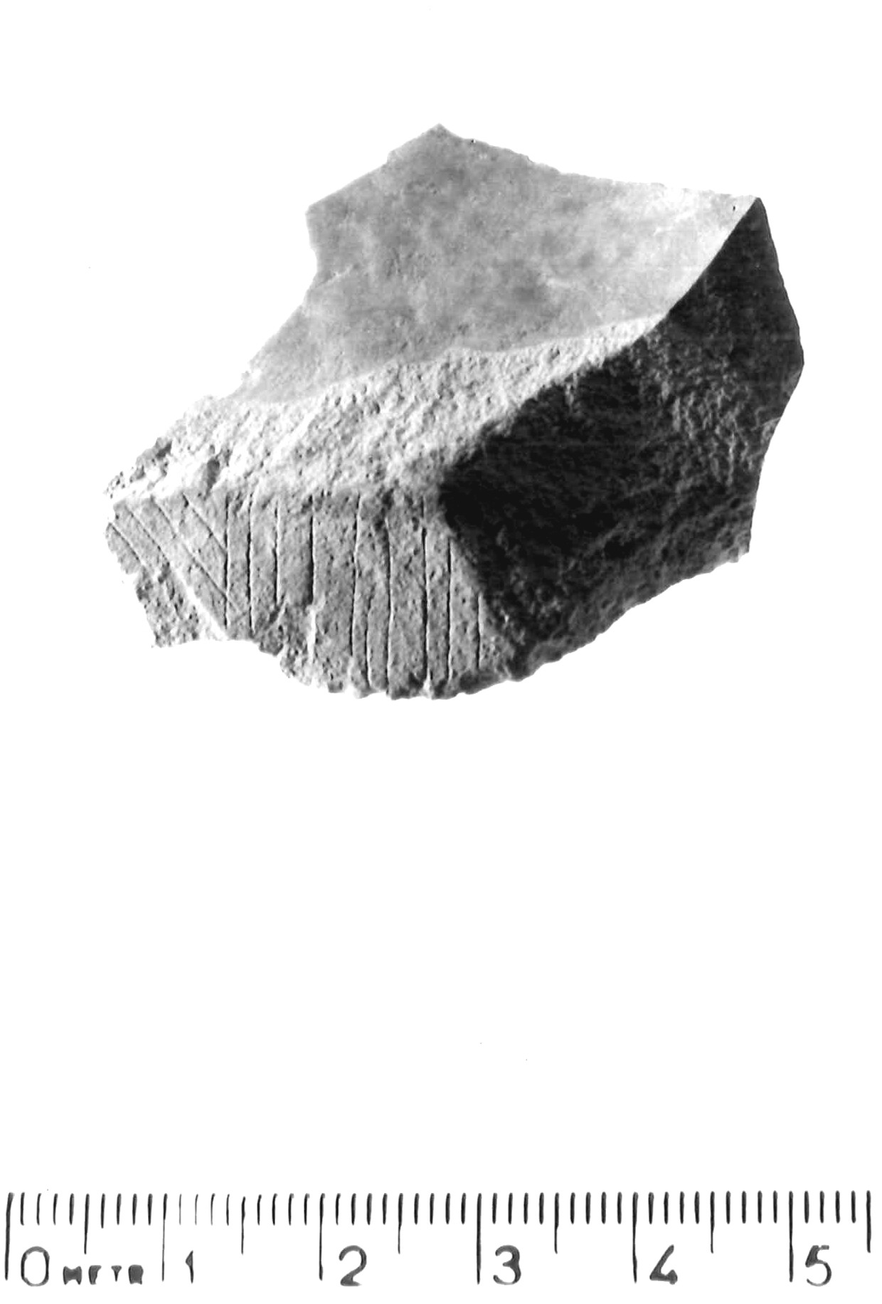 scheggia - epigravettiano antico (paleolitico superiore)