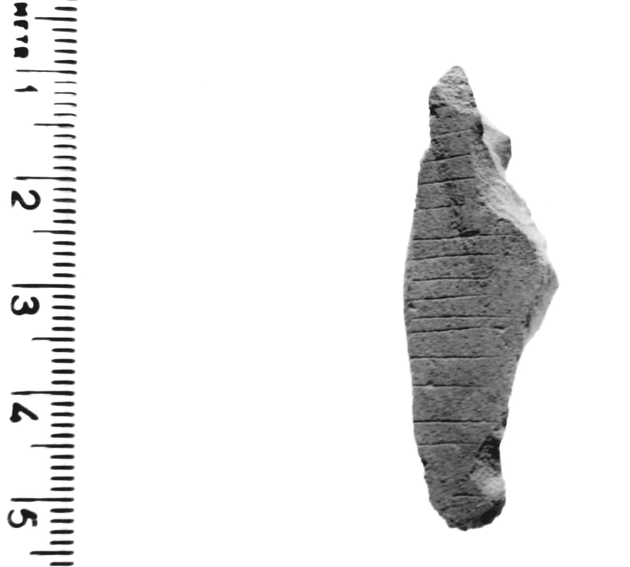 scheggia - epigravettiano antico (paleolitico superiore)