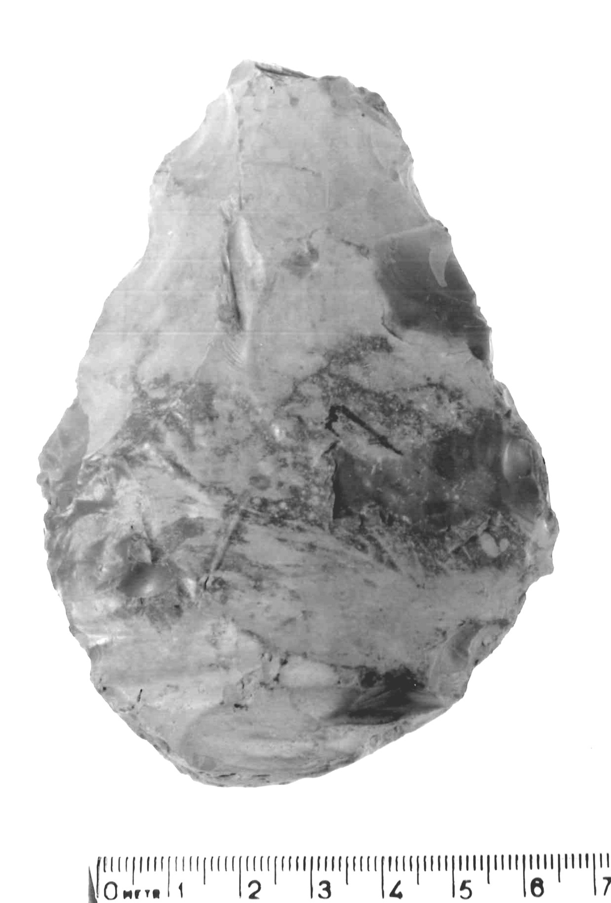 bifacciale (paleolitico inferiore)