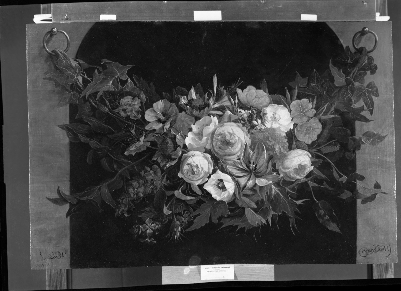 Natura morta con festone di fiori: olio su tavola; C. Galle (negativo) di Galle Cornelius, Vermehren, Augusto (seconda metà XX)