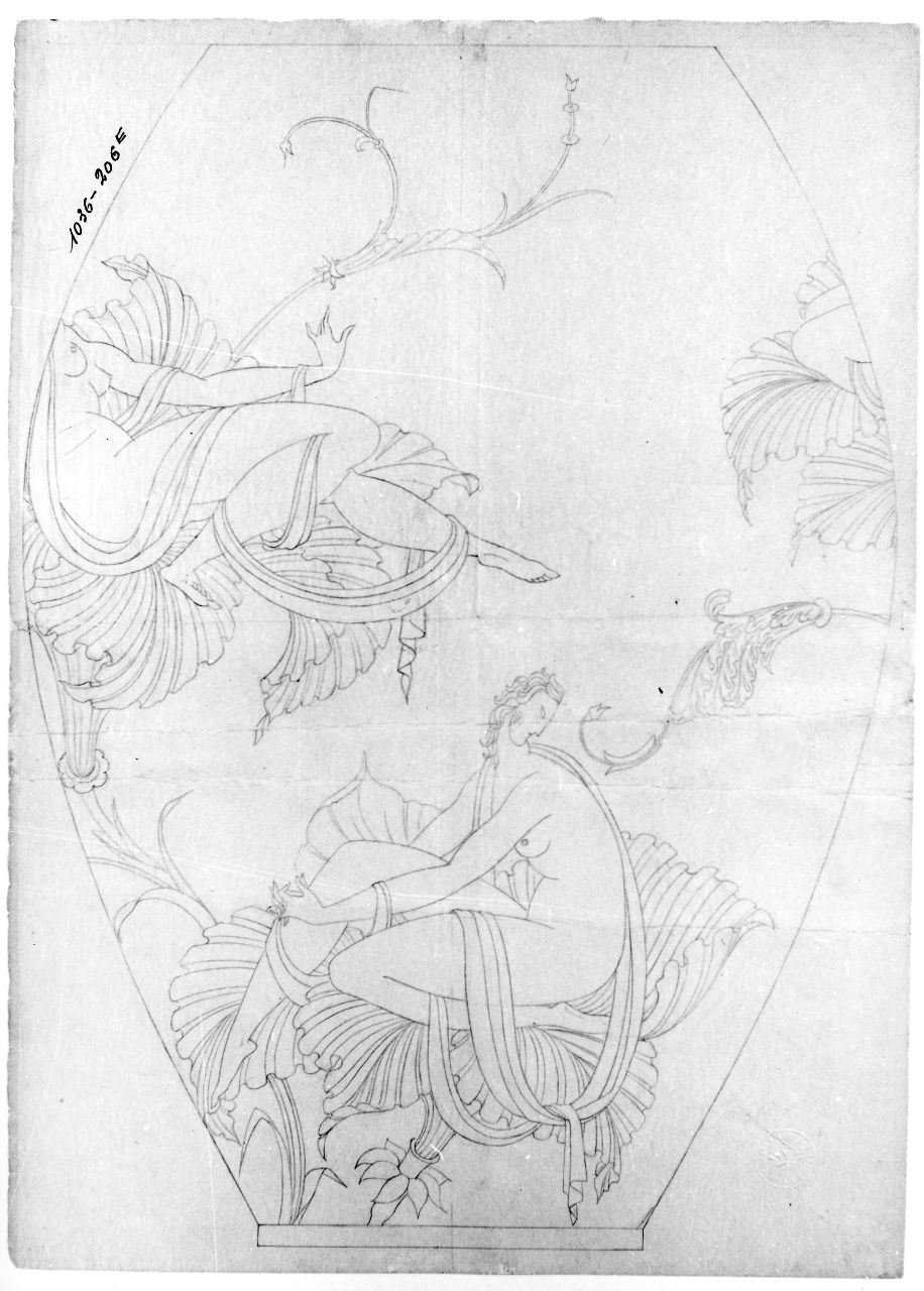 figure femminili nude su fiori (disegno preparatorio) di Ponti Giovanni (sec. XX)