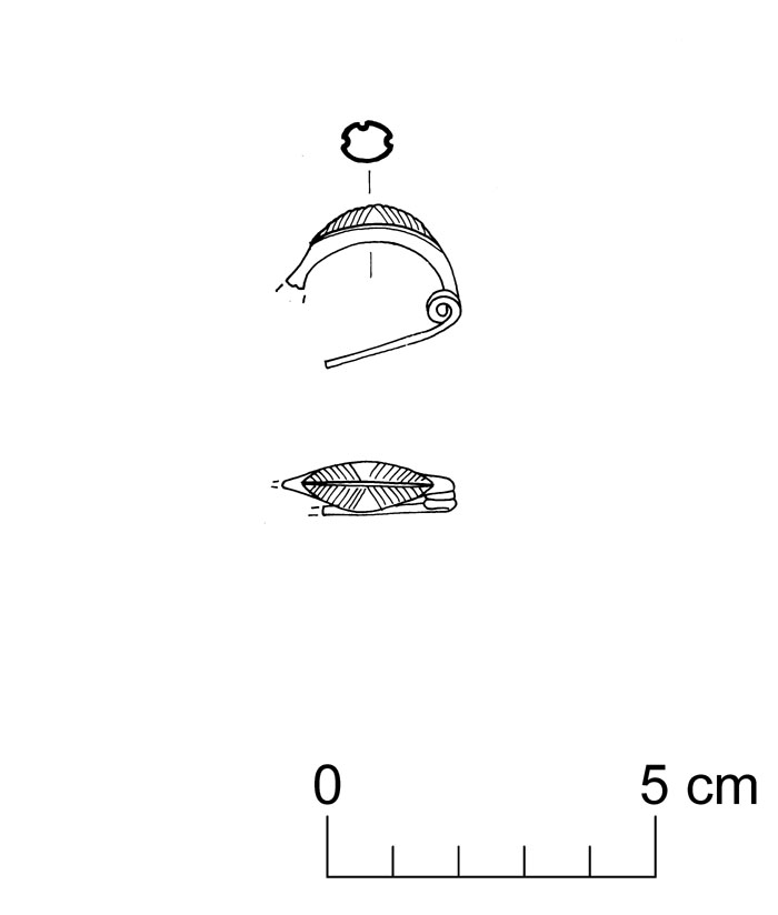 fibula a sanguisuga (VII sec. a.C)