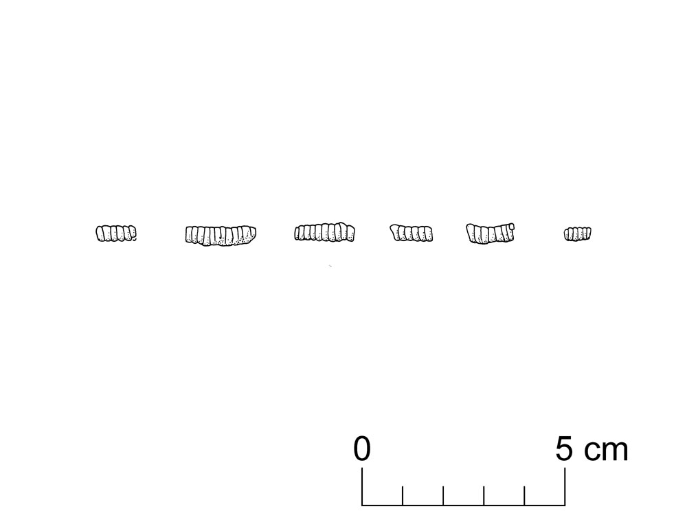 frammenti (VII sec. a.C)