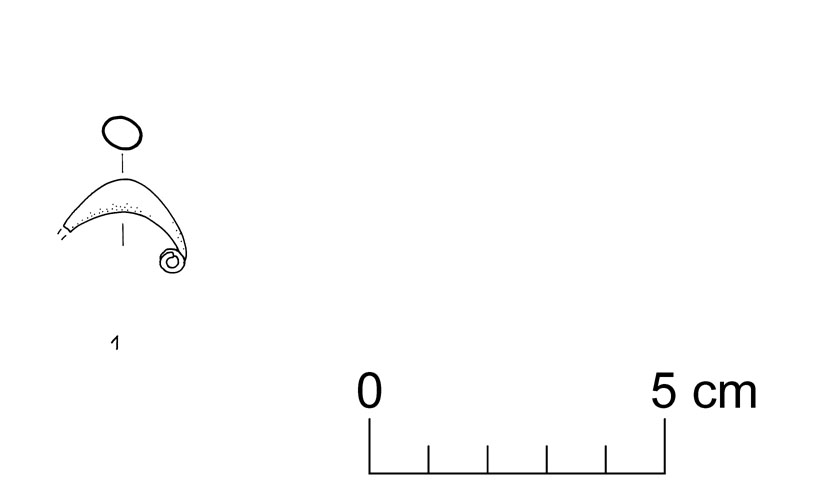 fibula a sanguisuga (VII sec. a.C)