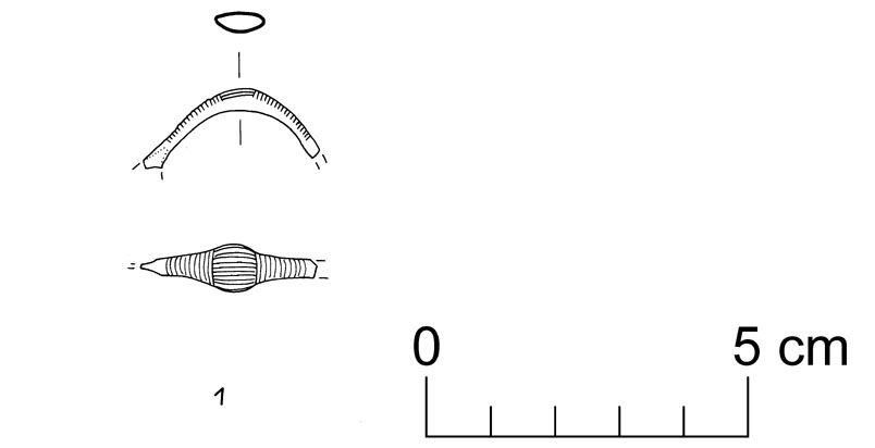 fibula a sanguisuga (VII sec. a.C)