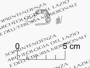 fibula ad arco ingrossato (secondo quarto VIII sec. a.C)