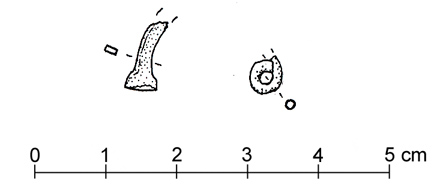 fibula con arco a fettuccia (secondo quarto/ fine VIII sec. a.C)