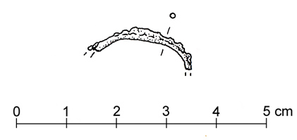 fibula ad arco semplice (secondo quarto/ fine VIII sec. a.C)