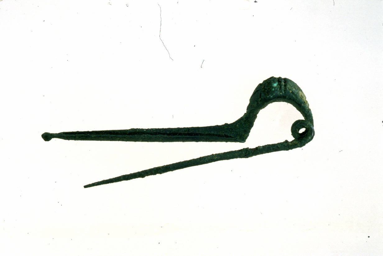 fibula a sanguisuga (seconda metà/ inizio VII sec. a.C./ VI sec. a.C)