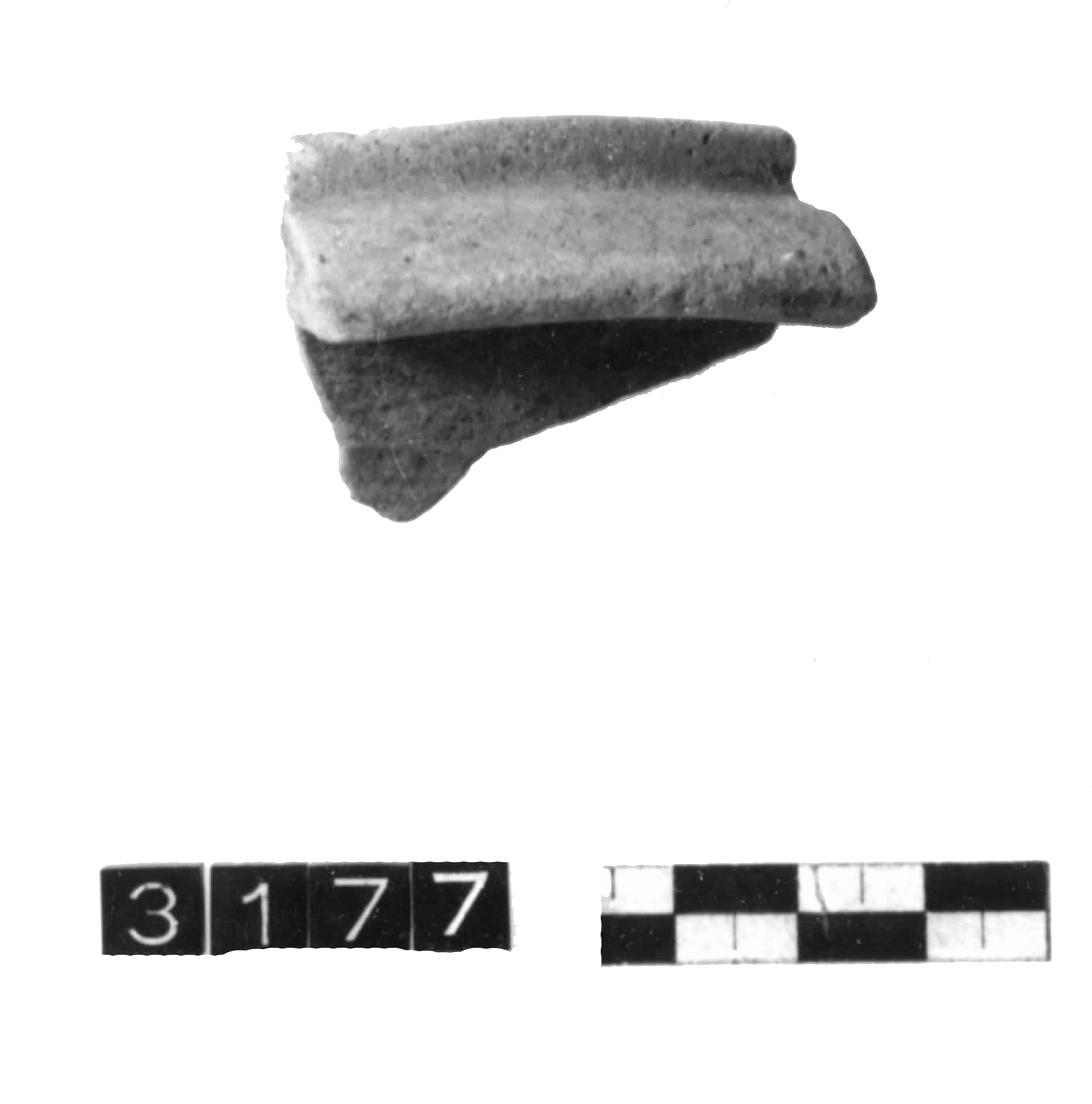 coppa, Lamboglia forma 24/25 (IV - V sec. d.c)