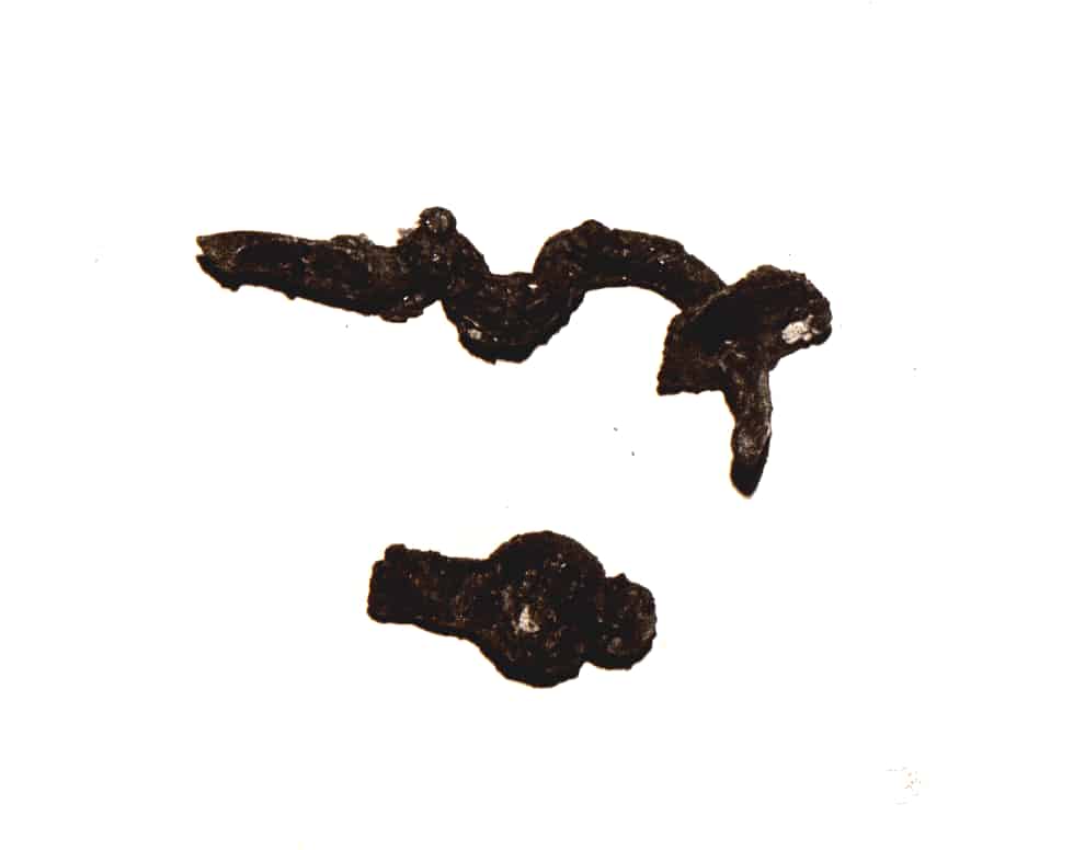 fibula (V sec. a.c)