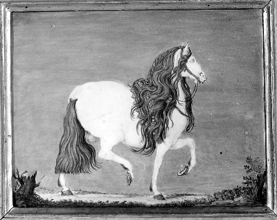cavallo (dipinto) - ambito toscano (fine/ inizio secc. XVI/ XVII)