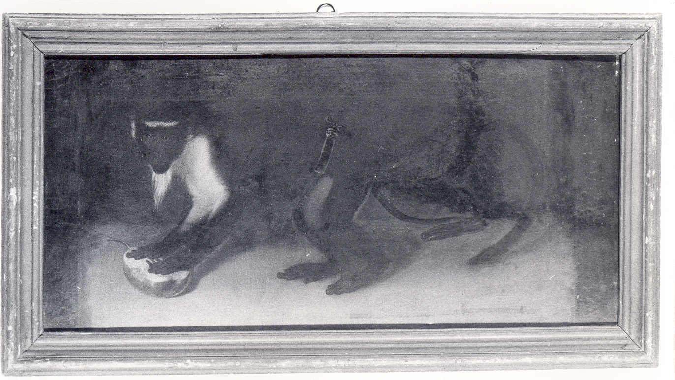 scimmia con guinzaglio alla cintura (dipinto, opera isolata) - ambito europeo (sec. XIX)