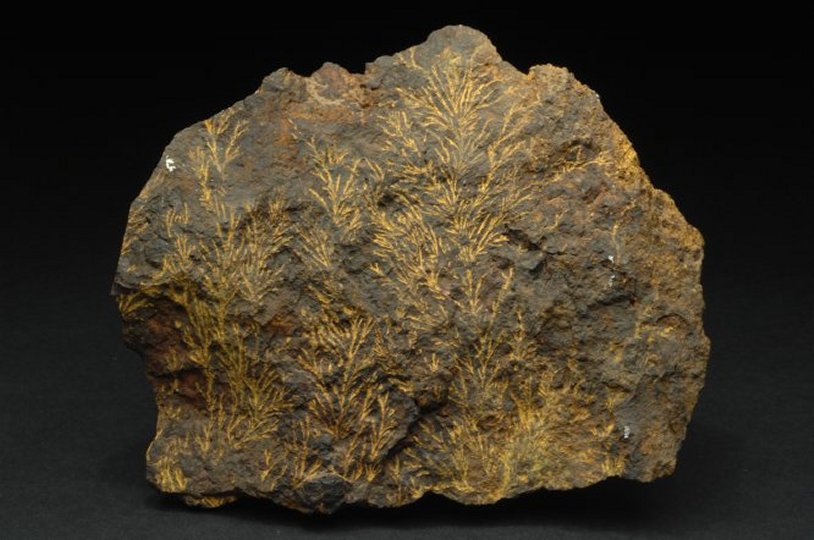 LIMONITE (esemplare)