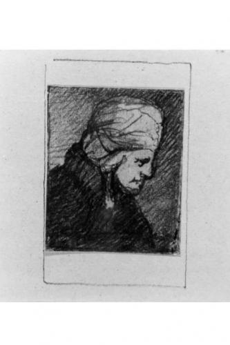 testa d'uomo di profilo (dipinto) di Cavoti Pietro (seconda metà sec. XIX)