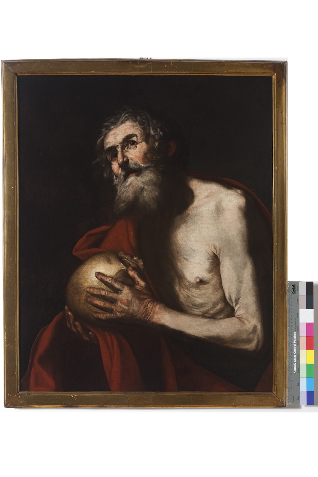 San Girolamo (dipinto) di Somer Hendrick Van (metà sec. XVII)