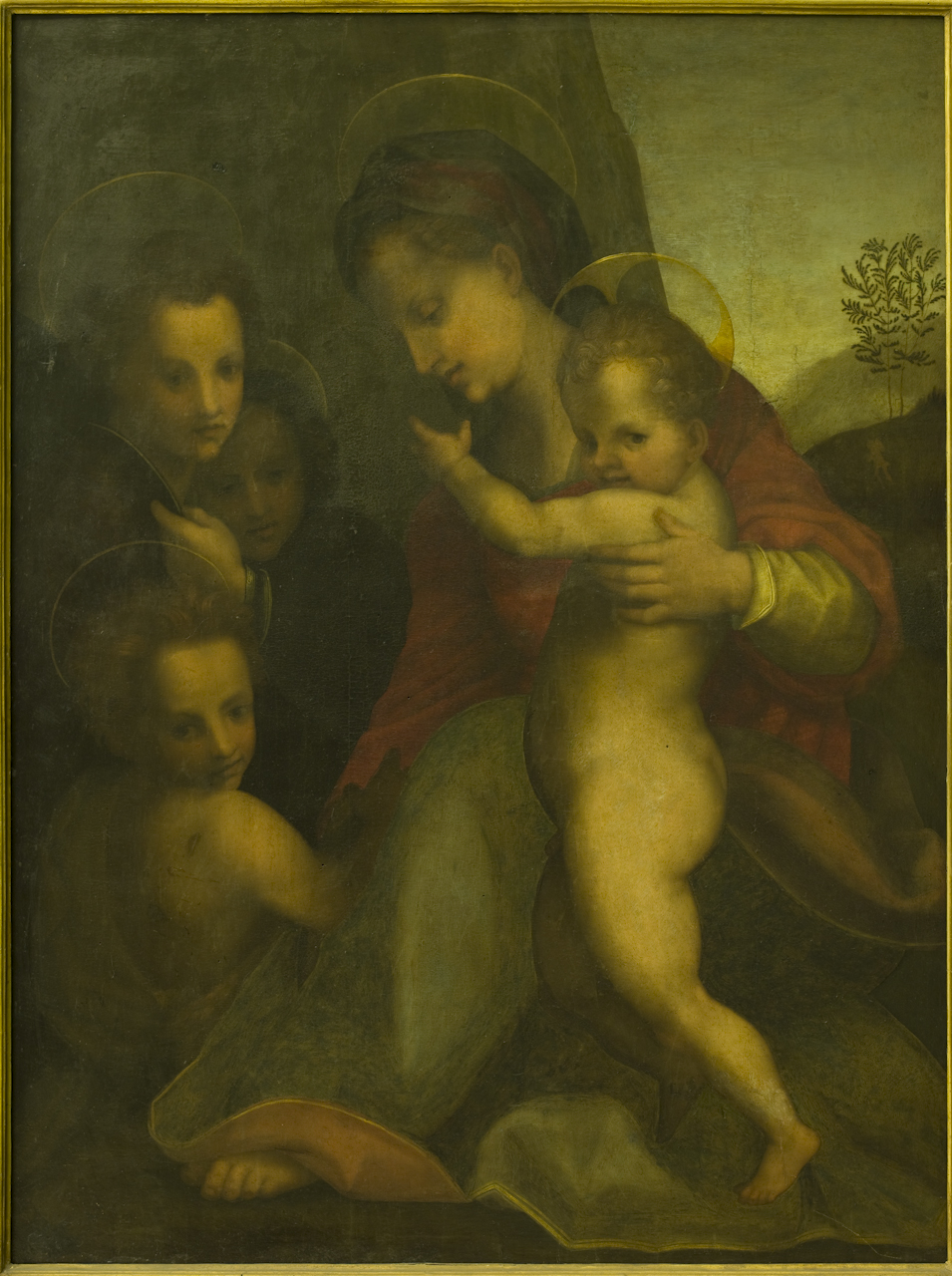 Madonna con bambino, San Giovannino e angeli (dipinto) di Andrea d'Agnolo detto Andrea del Sarto (sec. XVI)