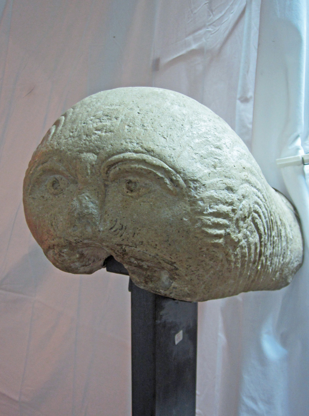 Leone (scultura, frammento) - bottega campana (sec. XIII)
