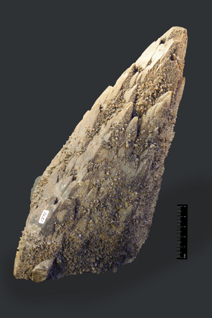 Calcite (esemplare)