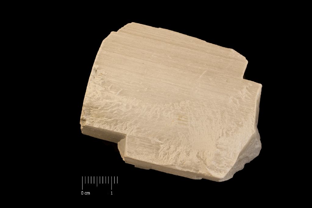 Ulexite (esemplare)