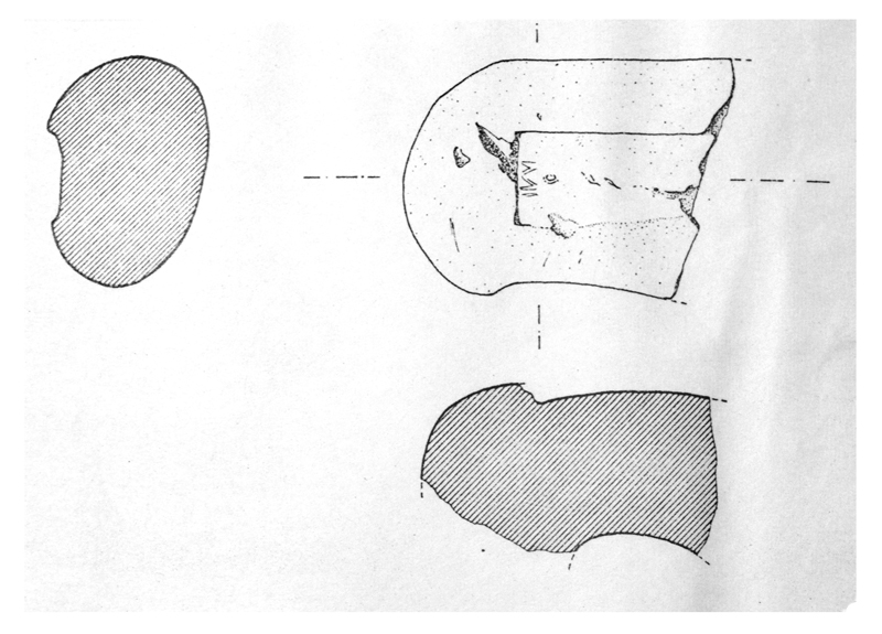 anfora, ansa - produzione rodia (II-I secc. a.C)
