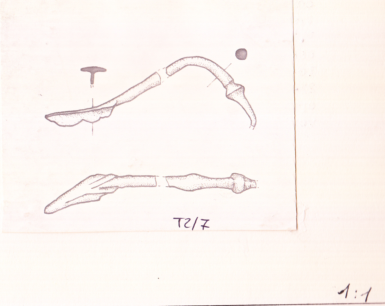 fibula (prima metà III a.C)