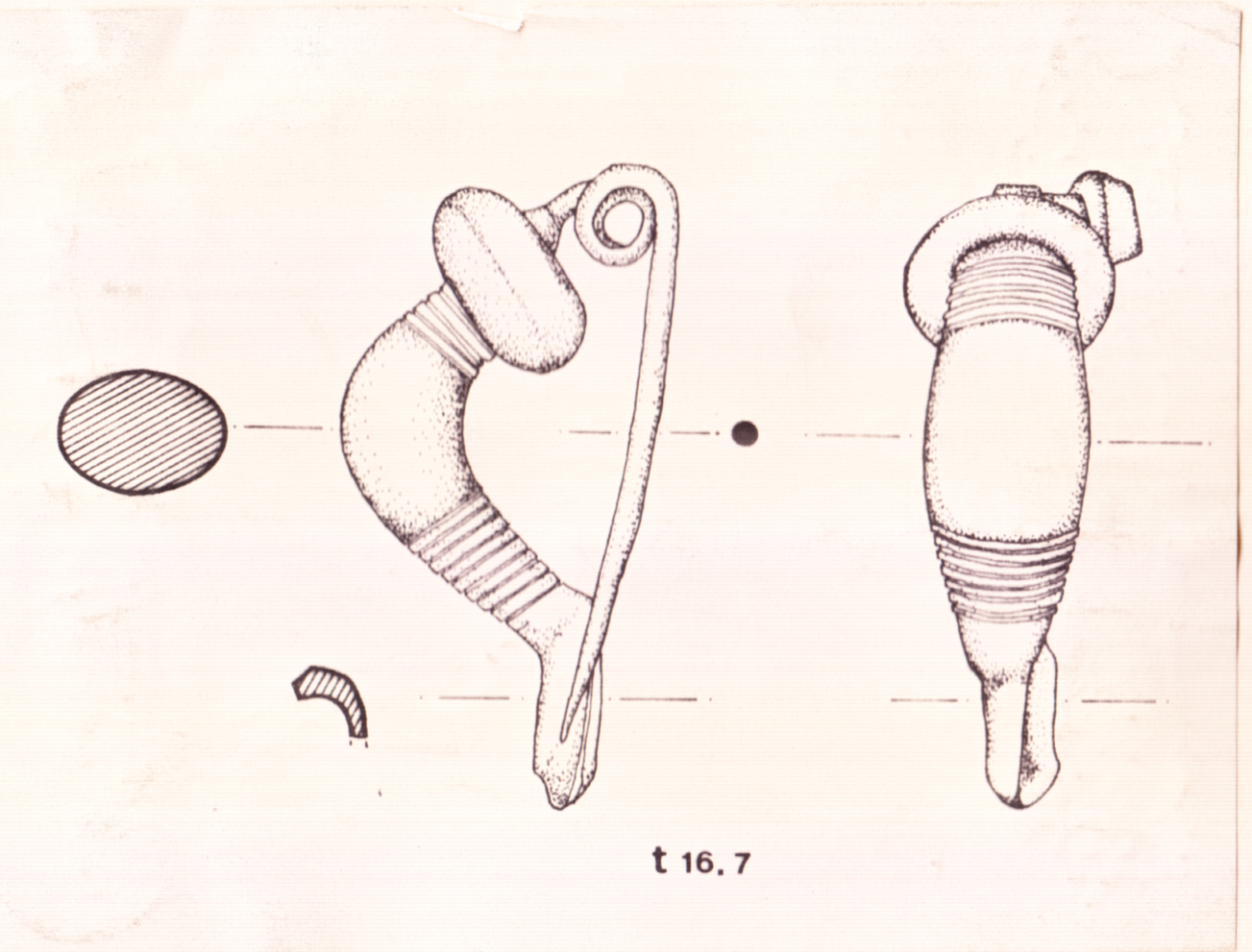 fibula, a sanguisuga (IV a.C. fine)