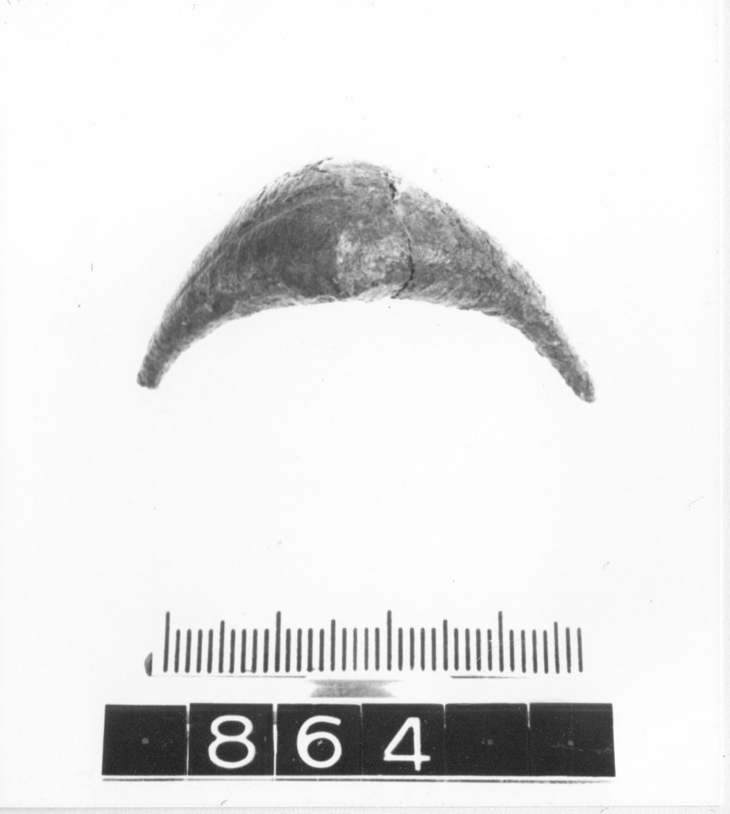 fibula, ad arco romboidale - cultura ligure (fine/ primo quarto VIII-VII a.C)