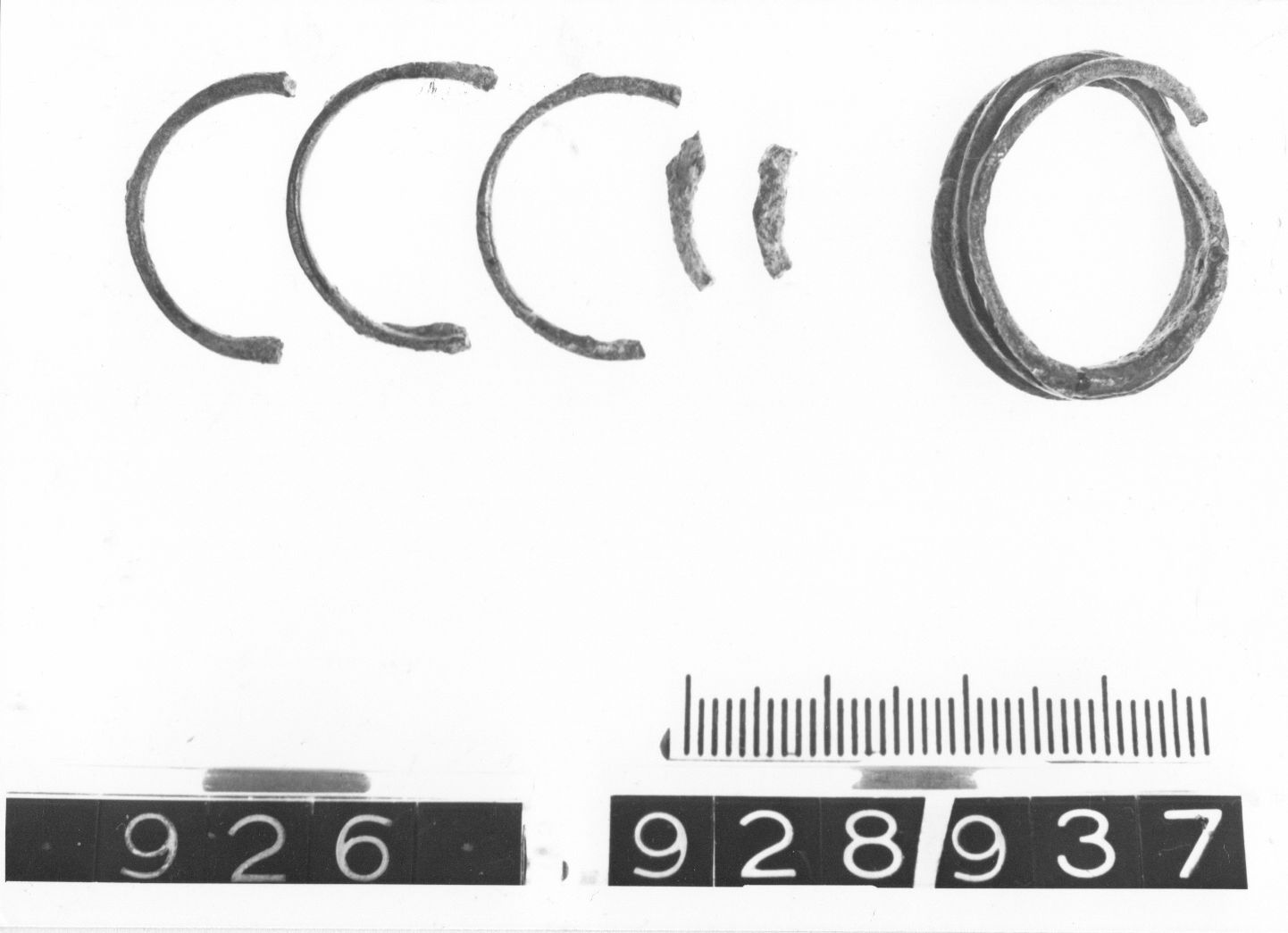 anelli - cultura ligure (fine/ primo quarto VIII-VII a.C)