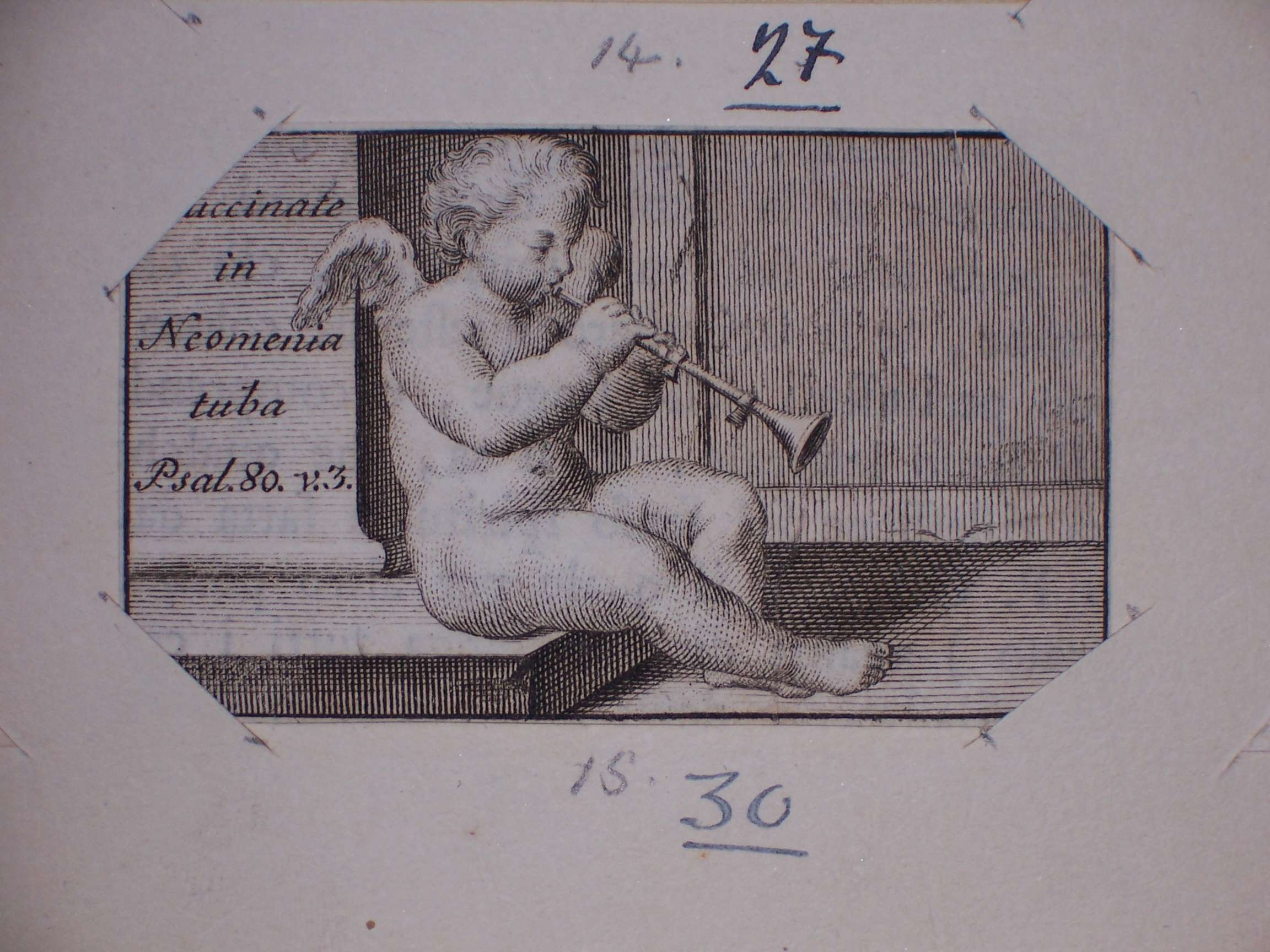 Cupido (stampa) - ambito italiano (sec. XVIII)