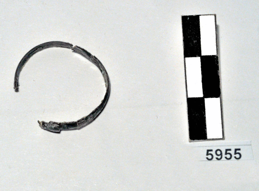 anello - Fase Piceno IV A (prima metà VI a.C)