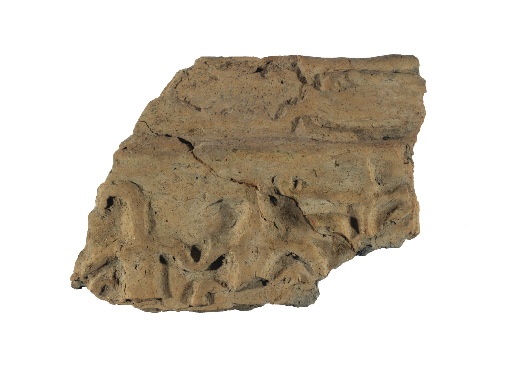 dolio/ parete - Cultura proto-veneta (XI-IX sec. a.C)