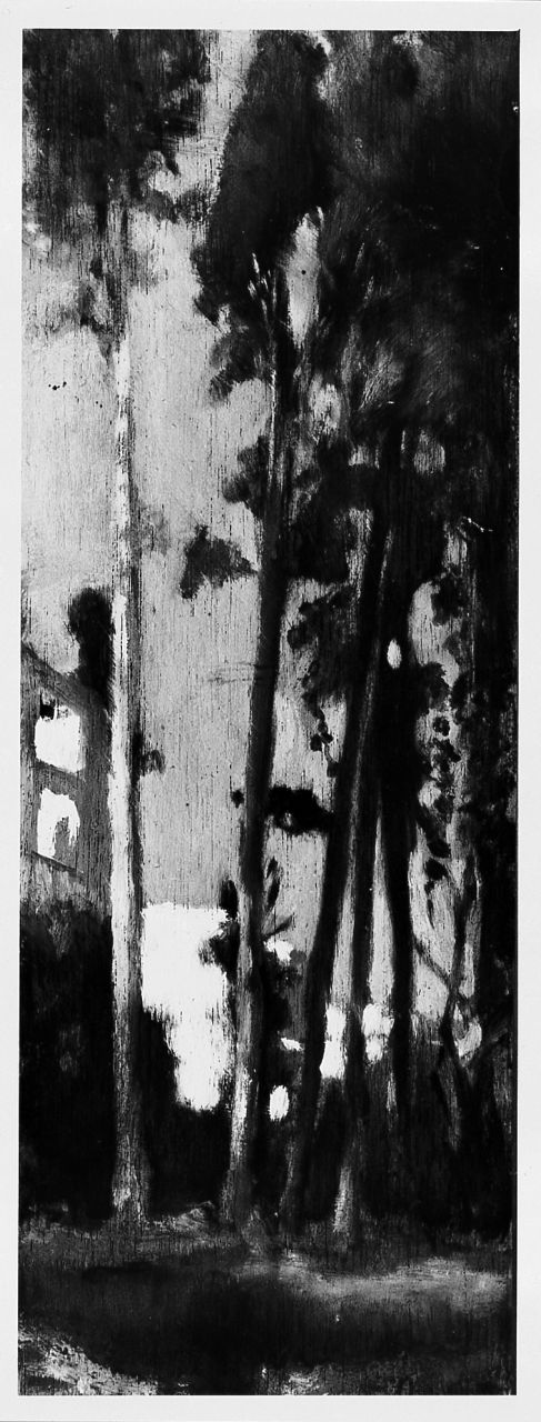 paesaggio con alberi (dipinto) di Ussi Stefano (sec. XIX)