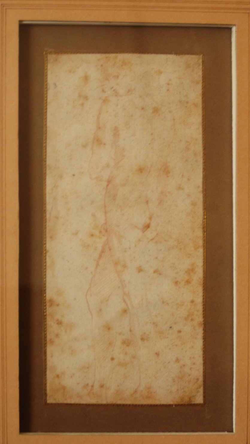 studio di nudo maschile in profilo (disegno, opera isolata) di Mazzola Francesco detto Parmigianino (sec. XVI)