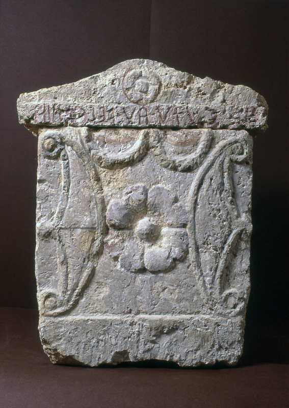 Rosone a quattro petali lobati (urna/ cineraria, cassa, cubica, decorata) (III-I sec. a.C)